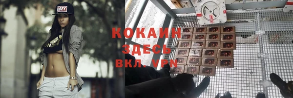 винт Козловка