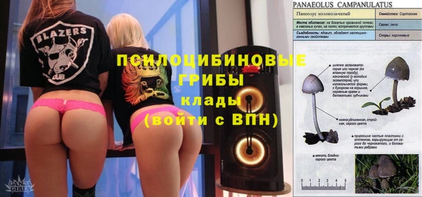 гидропоника Арсеньев