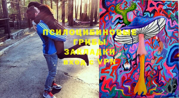 гидропоника Арсеньев